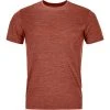 Ortovox Men's Short-Sleeve Performance Shirts 150 Cool Mountain Face T Shirt Men's