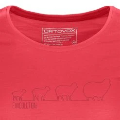 Ortovox Women's Hike & Camp Tops 150 Cool Ewoolution T Shirt Women's -Outlet Snow Traverse Store HOTCOR D1 1